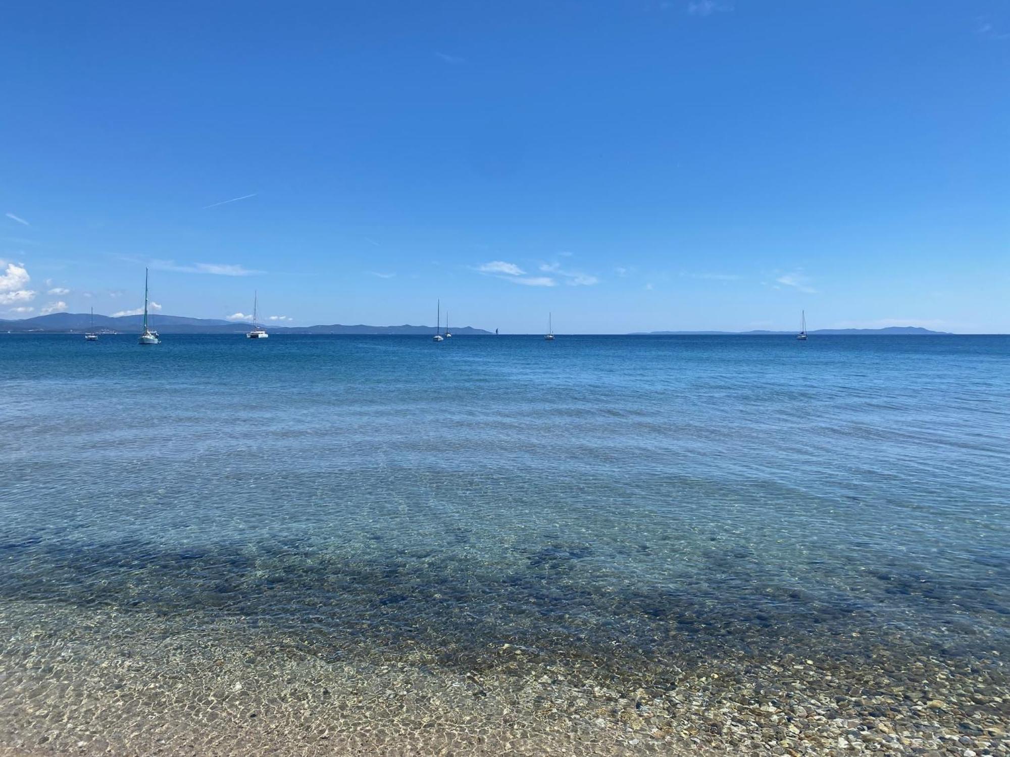 Appartement Les Cigales Rez De Jardin A 10Mn Des Plus Belles Plages Hyères Dış mekan fotoğraf